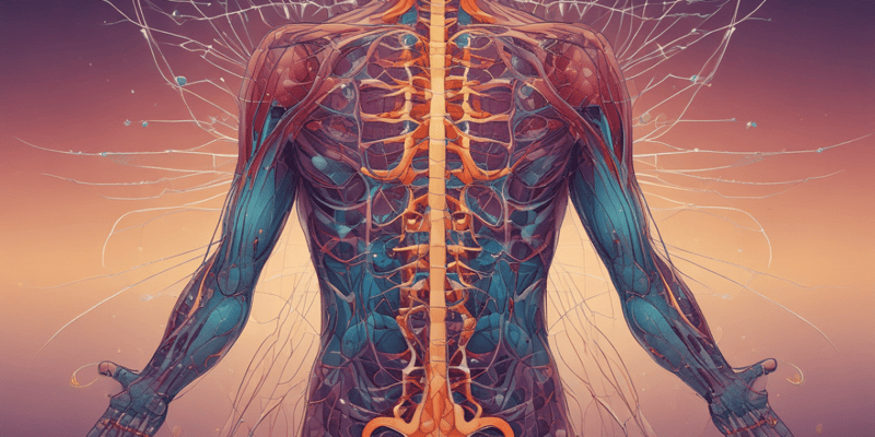 Pain and Nervous System: Anatomy and Physiology