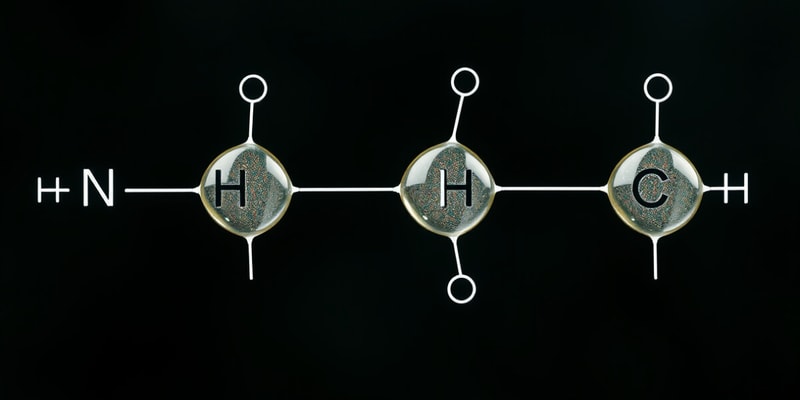 Organic Chemistry Reactions Quiz