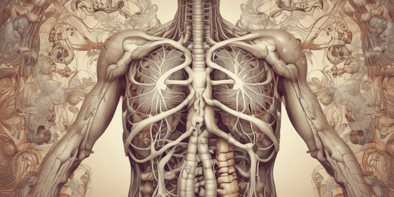 Pulmonary System Function
