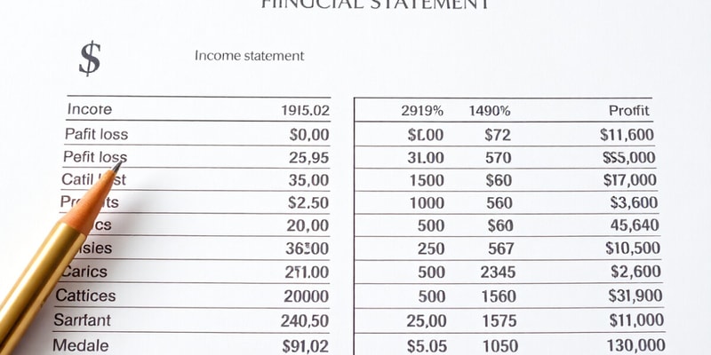 Profit and Loss: Understanding Income Statements