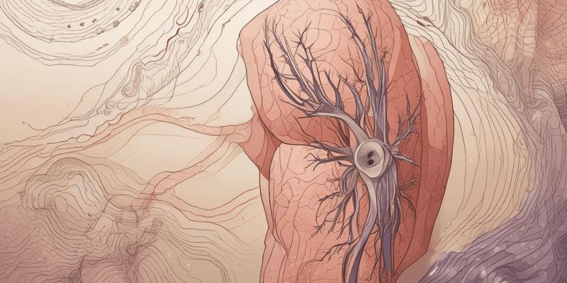 Biology Chapter 5: Integumentary System