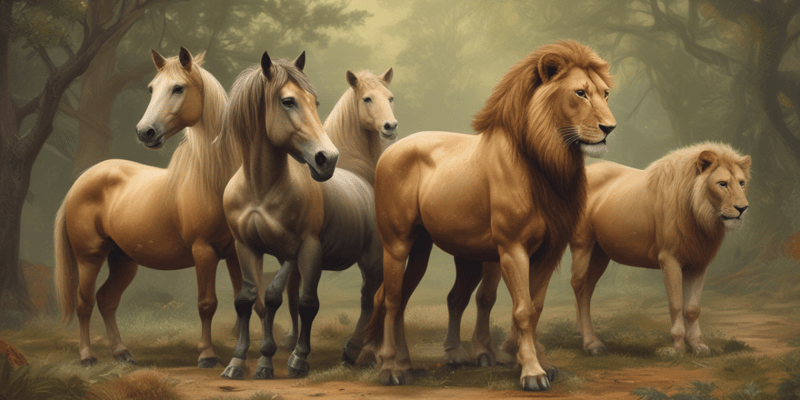Life Cycle of Horses and Lions