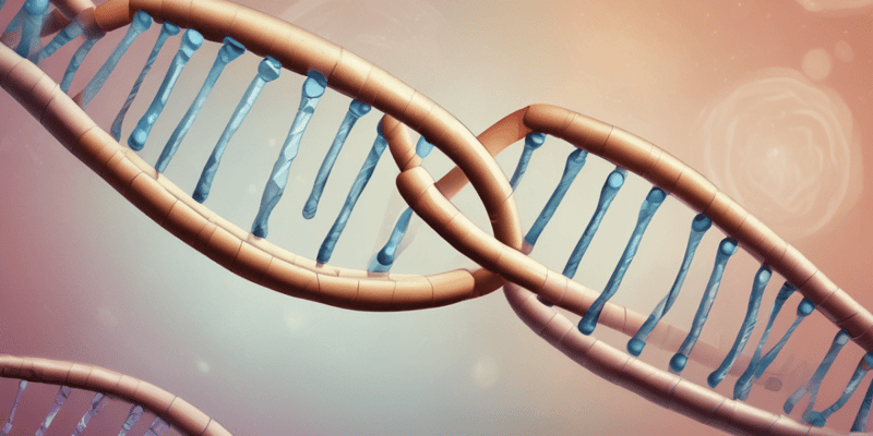 Biología Molecular: Estructura del B-DNA