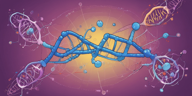 Nucleic Acids and RNA Transcription