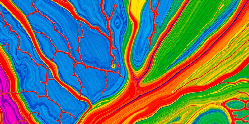 Properties and Classification of Muscle Tissues