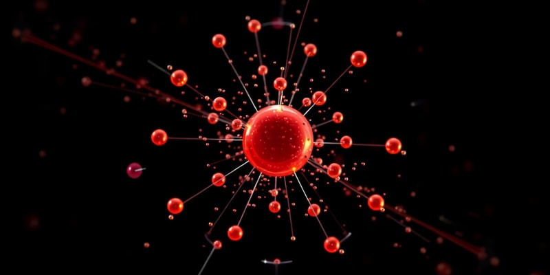 Rutherford Scattering Experiment Quiz