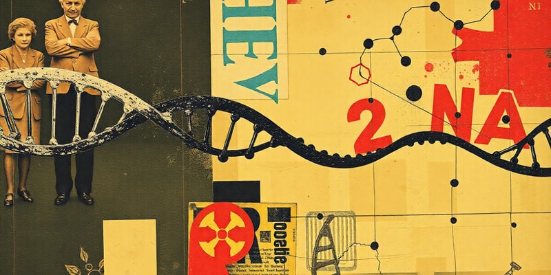 DNA and RNA Composition and Structure