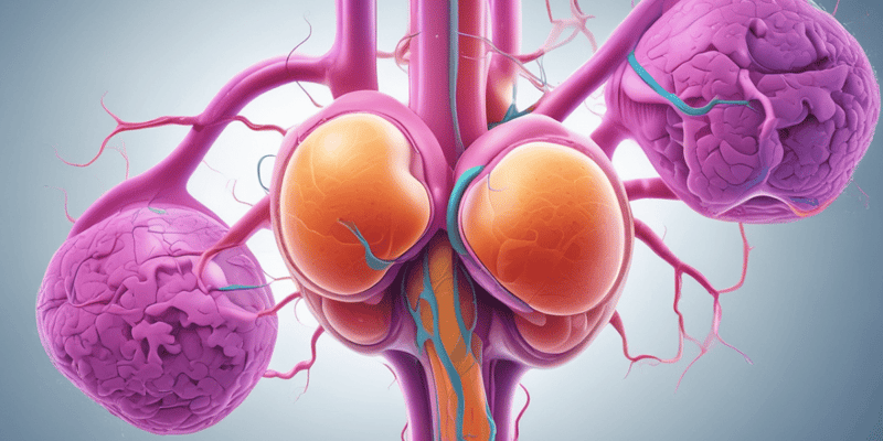 Renal System: Urinary Tract Infections (UTIs)