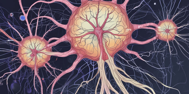 Neurophysiology: Neuron Division and Brain Metabolism