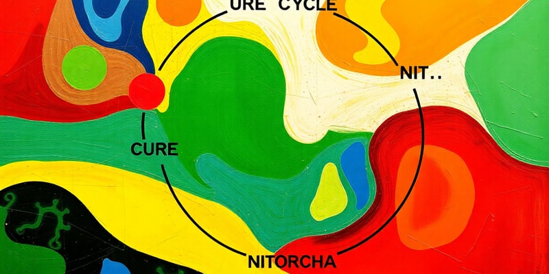 Nitrogen Metabolism and the Urea Cycle