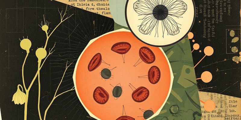 Biology Grade 11: Plant and Animal Cell Types