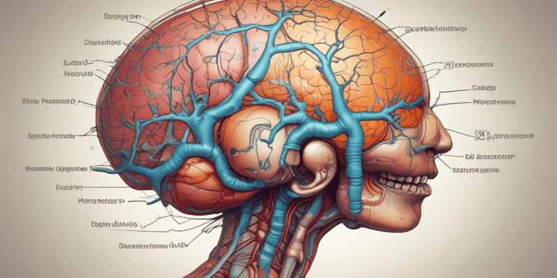 Anatomy LE 6: The Hypothalamus and Limbic System