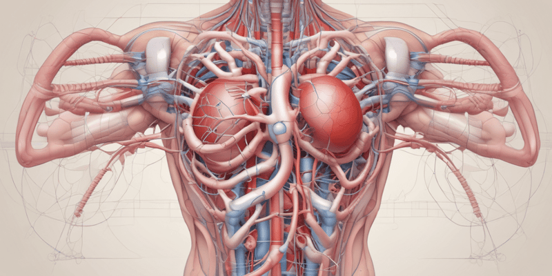 Aortic Reconstruction and Arterial Catheter Placement