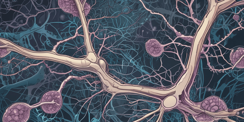 Nervous Tissue Part 2: Glial Cells