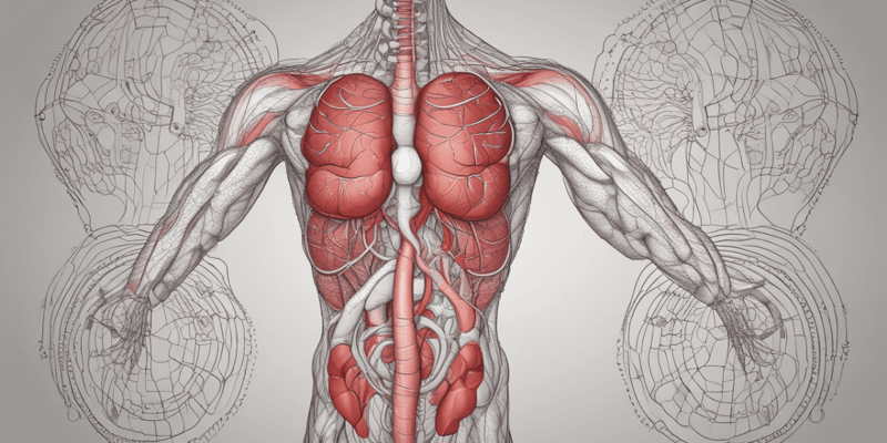 Ninja Nerd - Circulatory System | Arteries of the Head & Neck | Flow Chart