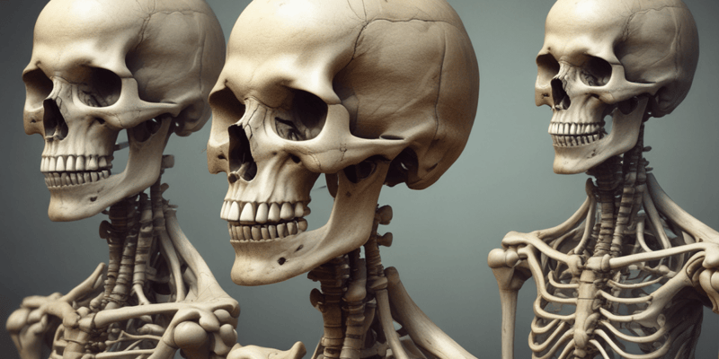 Effects of Aging on Bone Structure