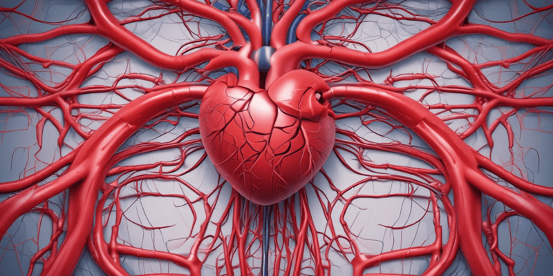 7)Cardiovascular System Circuitry Quiz