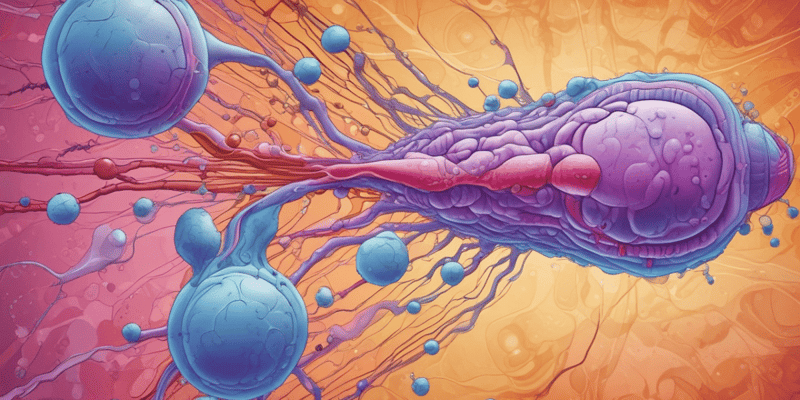 Cell Membrane Quiz