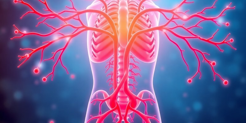 Autonomic Nervous System Overview