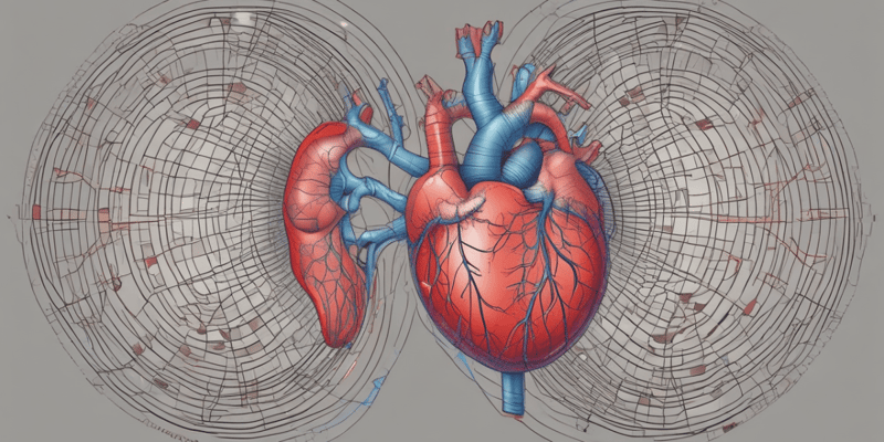 Understanding the Cardiac Cycle: Diastole, Contraction, and Relaxation