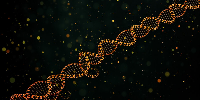 DNA Sequence Assembly Quiz