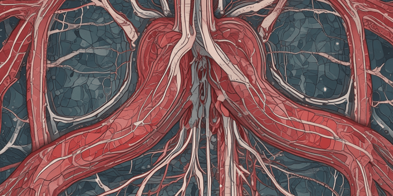Cardiovascular System: Blood Vessels and Layers