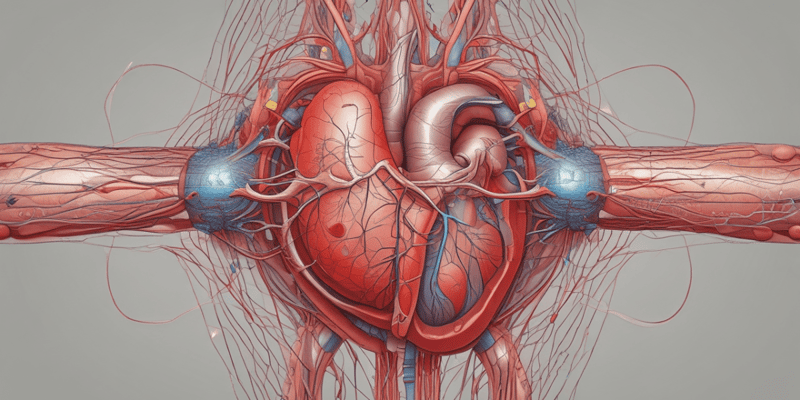 Aging Changes in Cardiac Arterial Systems