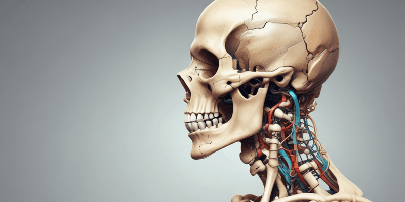 The Temporomandibular Joint Anatomy