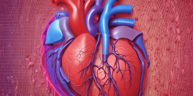 L13 Cardiac Cycle