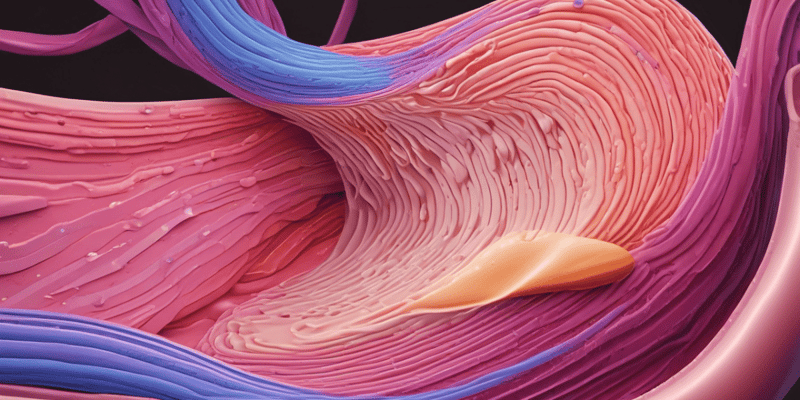 Smooth and Cardiac Muscle