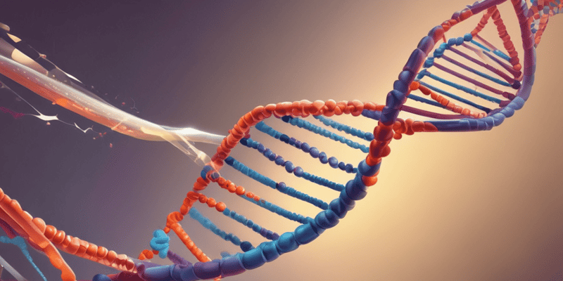 DNA Denaturation and Renaturation Process