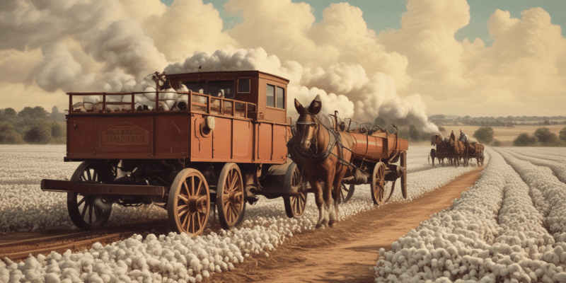 The Cotton Rush of the 19th Century