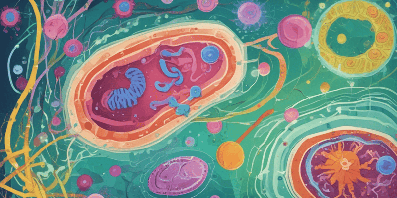 Biology Quiz: Gram-Positive and Gram-Negative Bacteria