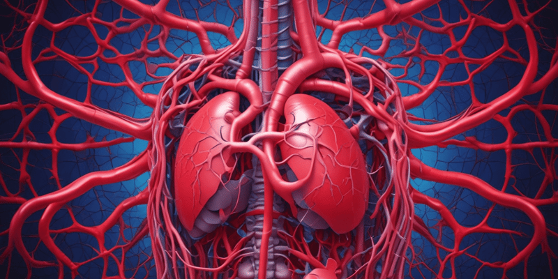 Circulatory System Overview