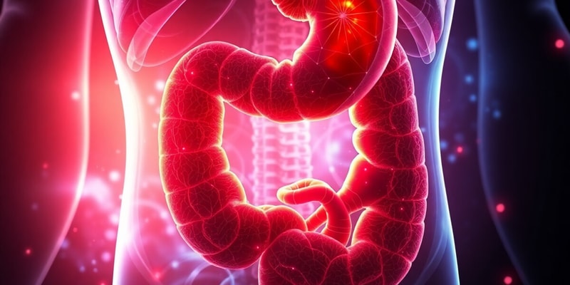 Digestive System Overview Quiz