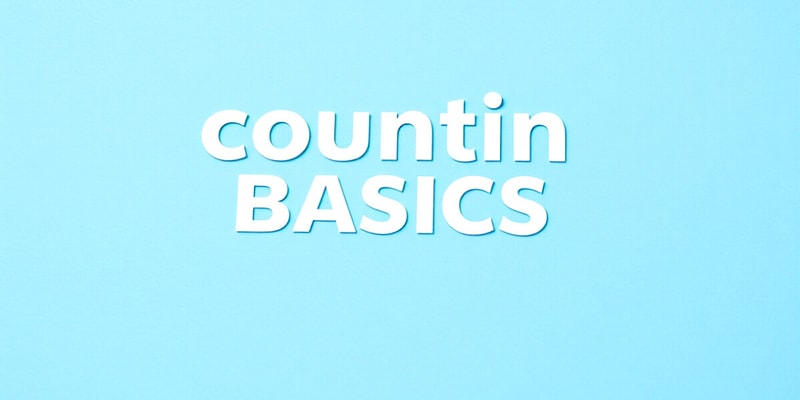 Accounting Basics K-12