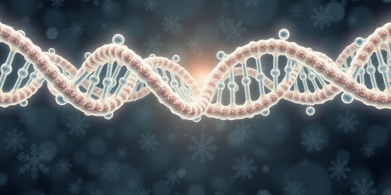 Chromosome Structure and Cell Cycle