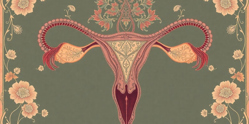 Female Reproductive System Overview