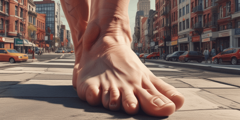 Anatomy of Foot Views Quiz