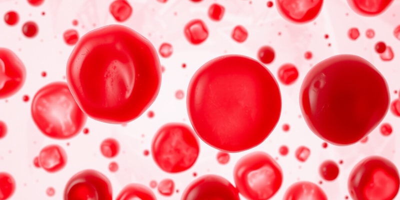 Blood Cells and Blood Types Quiz
