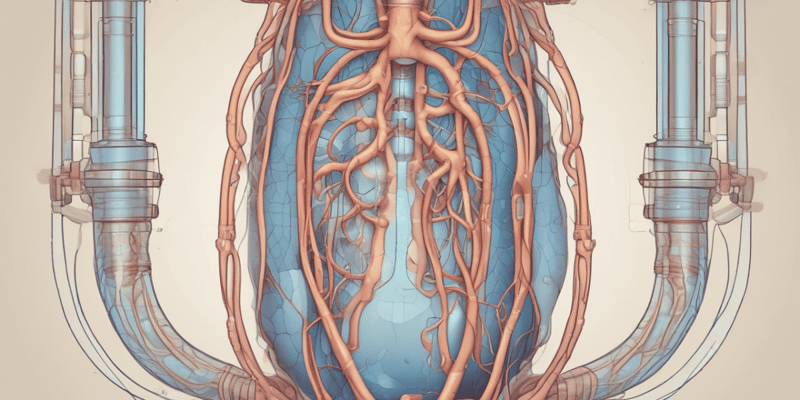 Urinary System: Filtration and Dehydration