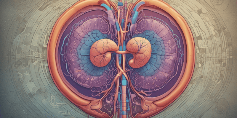Patho 2 test 2: The Renal System