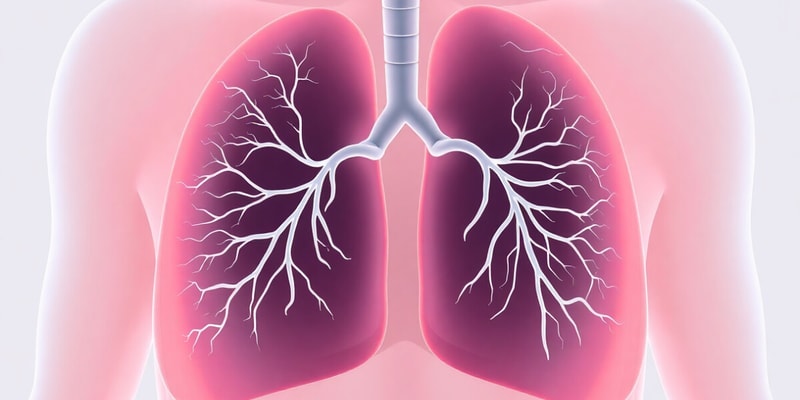 Circulation & Gas Exchange Quiz