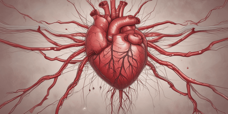 Coronary Arteries and Veins
