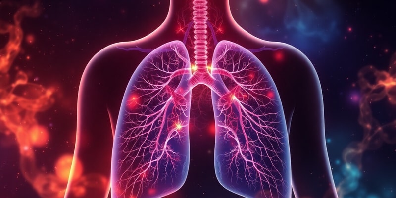 Respiration and the Respiratory System