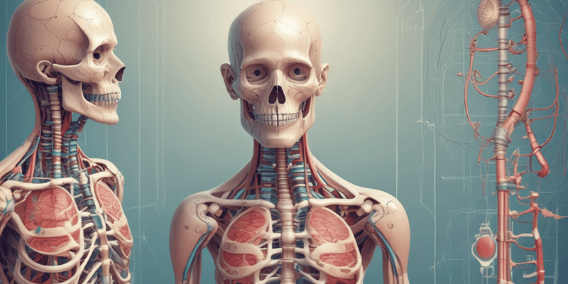 Anatomy and Physiology Assessment