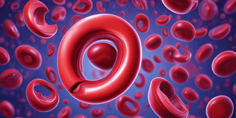 Hemapatology: Red Blood Cell