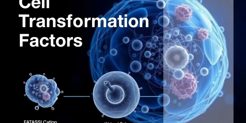 Cell Transformation Factors Processes