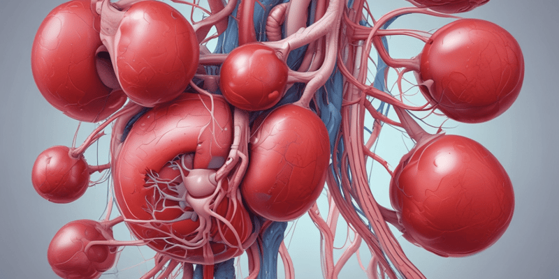 Structure and Functions of the Urinary System Quiz