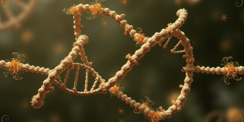 Structure of Chromosome